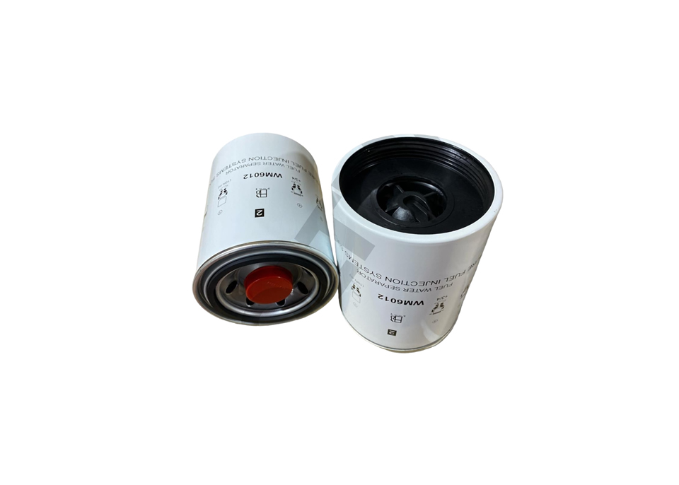 WM 6012